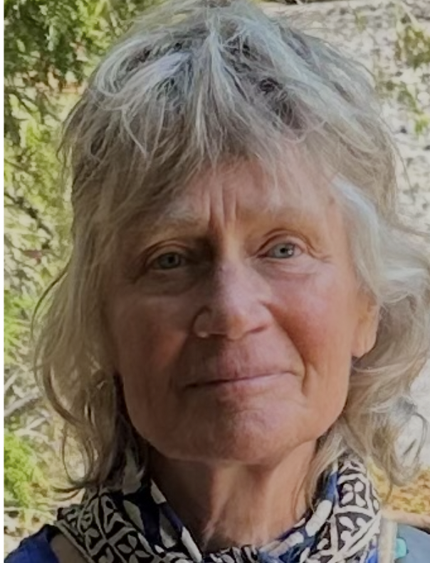 Nan Nally-Seif, LCSW